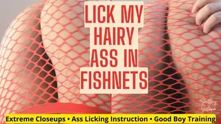 Lick My Hairy Ass in Fishnets