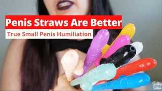 True Small Penis Humiliation - Penis Straws Are Better