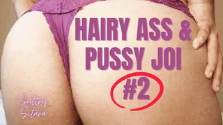 Hairy Ass and Pussy JOI #2 HD Version