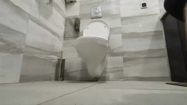 GIANT Farts in toilet in Work