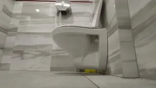 Compilation of 12 Delicious new toilet visits at work