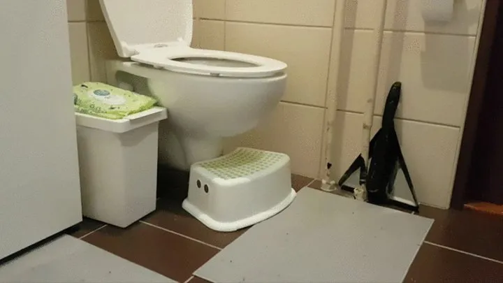 Quick 30min Toilet compilation with huge fart and lot of splashes & toilet sounds reup