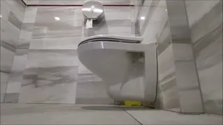 Quick Toilet Work Compilation