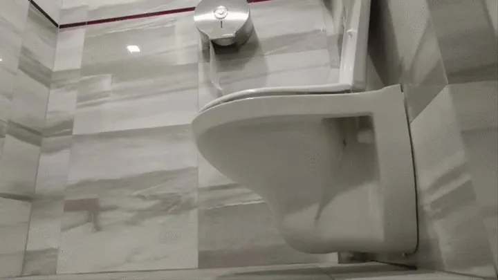 Diarrhea while Boss&co-workers behind a wall - Huge farts, Groans at work toilet