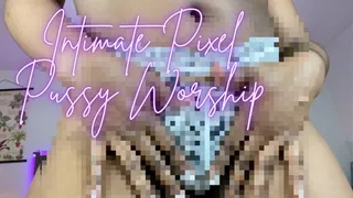 Intimate Pixel Pussy Worship