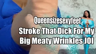 Stroke That Dick For My Big Meaty Wrinkles JOI Nylon