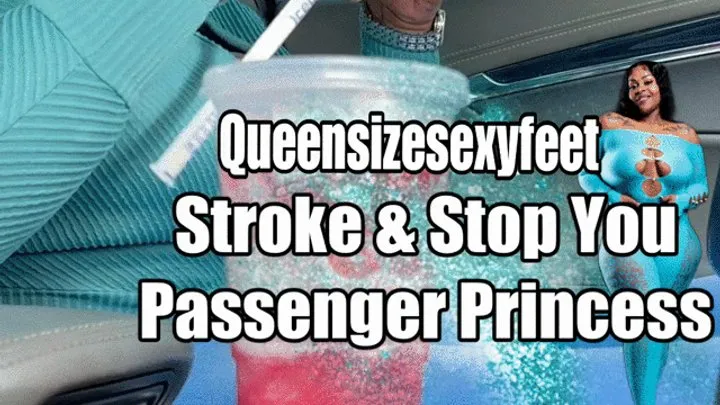 Stop & Stroke You Passenger Princess