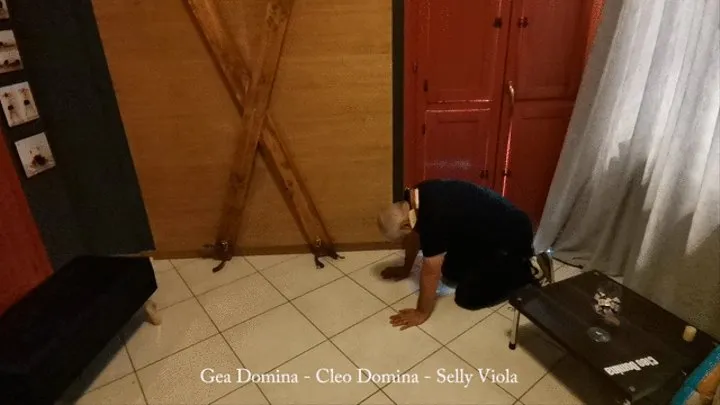 GEA DOMINA - TRAMPLING THREE MISTRESS