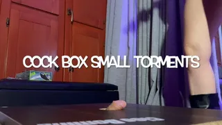 GEA DOMINA - COCK BOX SMALL TORMENTS