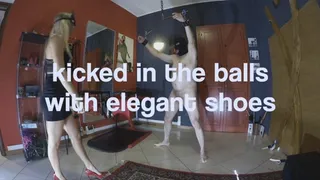 GEA DOMINA - KICKED IN THE BALLS WITH ELEGANT SHOES