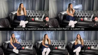 Answering 12 questions about my smoking habit! Part II - a custom clip