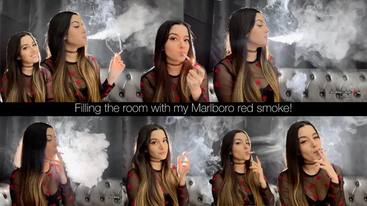 Filling the room with my Marlboro Red smoke! Includes nose exhales, cone exhales, residual exhales, OMI's, snaps, audible inhales and exhales, visible smoke and more!