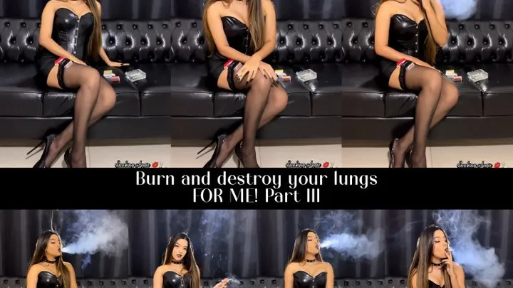 Burn and destroy your lungs FOR ME! Part III