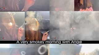 Three scenes in a very smokey morning with Angie!