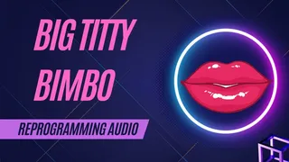 Big Titty Bimbo Reprogramming Audio