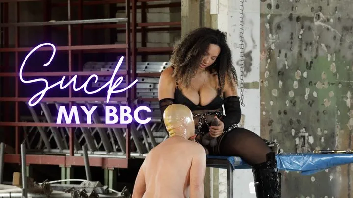 Suck my BBC