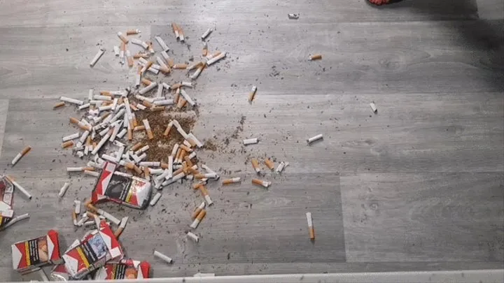 Mila throws away 200 cigarettes - vacuuming