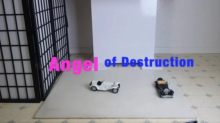 Angel of Destruction - white toycar