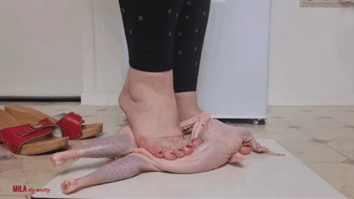 Mila - chicken plain - barefoot