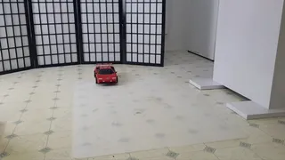 Neighbor's toy car - rc Lamborghini (view01)