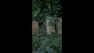 Big Tits Vampire Sucks Cock In The Cemetery POV