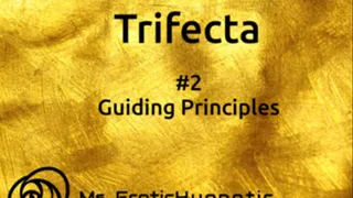 Findom Trifecta #2 Guiding Principles