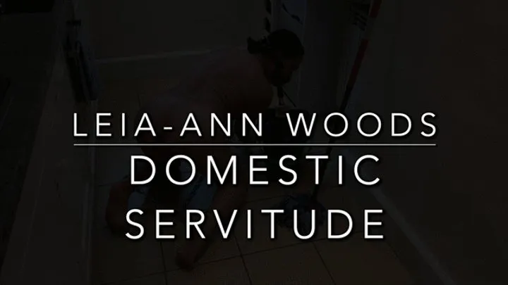 Domestic Servitude