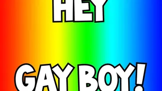 Everyone Knows You're A Gay Boy! (Audio)