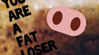 You Are A Fat Loser (Audio)