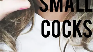 I Love Small Cocks (Audio)