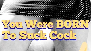 You Were Born To Suck Cock! (Audio)