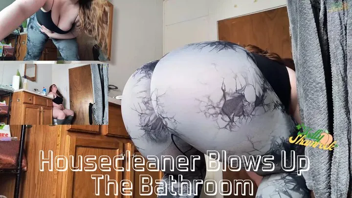 Housecleaner Blows Up The Bathroom