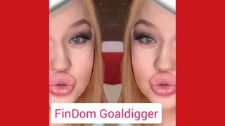 FinDom Goaldigger is your Orgasm!