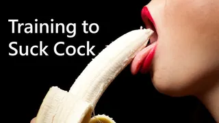 Training to Suck Cock