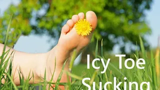Icy Toe Sucking