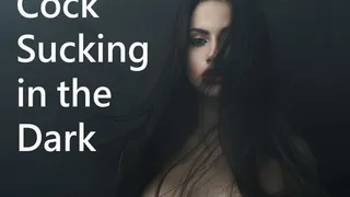 Cock Sucking in the Dark