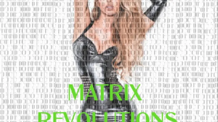 Matrix Revolutions part 3