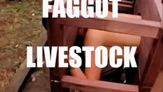 Faggot Livestock