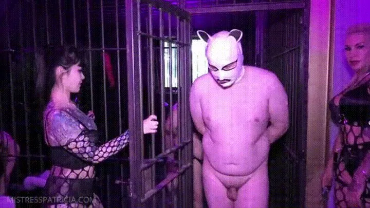 Punishment for Inmates - Part 2 - Finding Piggies' Weaknesses ft Mistress Ava Von Medisin