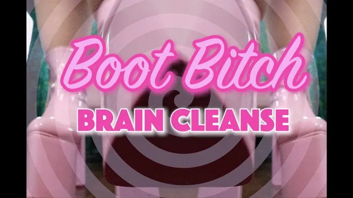 Boot Bitch Brain Cleanse