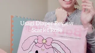 Usagi Diaper Review