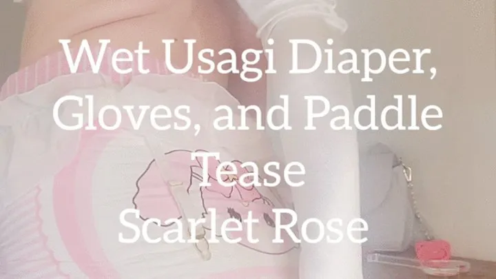 Wet Usagi Diaper, Gloves, and Paddle Tease