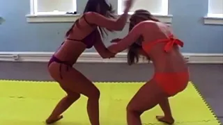 Girl Fights-025 Michelle VS Lori Clip A Catfighting