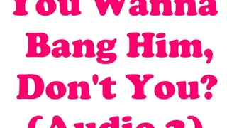 You Wanna Bang Him, Don't You? (pt 2) - Bi - AUDIO ONLY