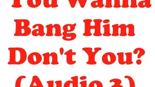 You Wanna Bang Him, Don't You? (pt 3) - Bi - AUDIO ONLY
