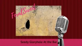 Seedy Gloryhole At the Bar