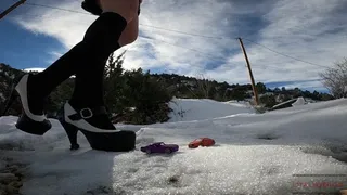 Giantess Crushes Your Cars in the Snow