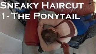 Sneaky Haircut 1- The Ponytail Audio