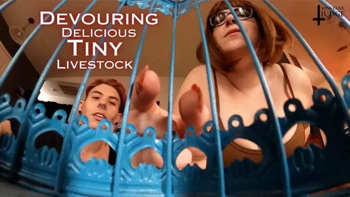 Devouring Delicious Tiny Livestock - featuring Kane Fawkes and Jane Judge, in this hungry giantess and giant vore video with tinies kept in cages and fattened up for months before being seasoned and prepped to cook and then swallowed raw, as your