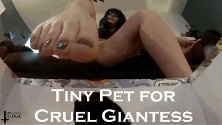 Tiny Pet for Cruel Giantess